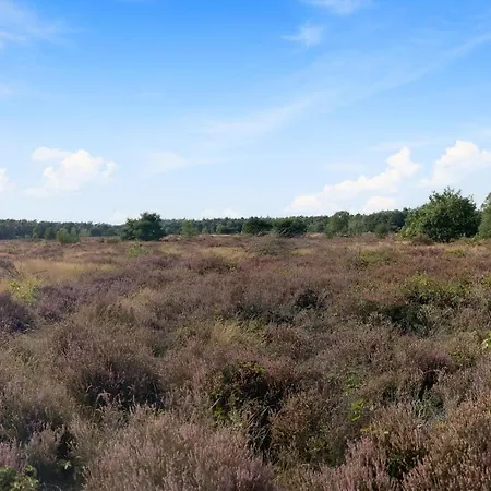 Дом отдыха 3 Bedroom Amazing In