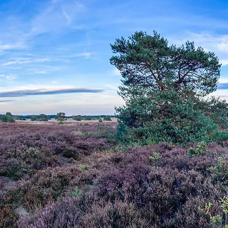 Сasa de vacaciones 3 Bedroom Amazing In Putten