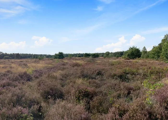 Vakantiehuis 3 Bedroom Amazing In