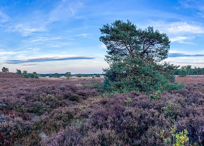 Holiday home 3 Bedroom Amazing In Putten